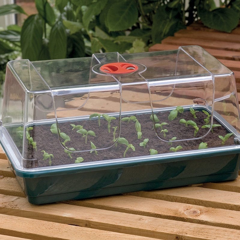 dt-brown HARDWARE Large High Dome Unheated Propagator