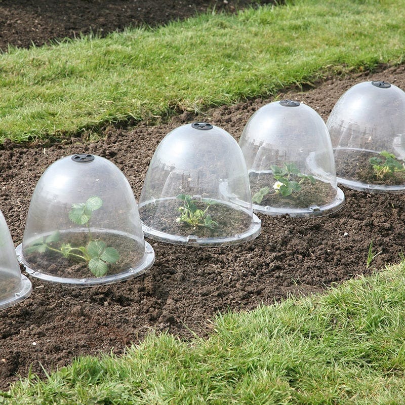 dt-brown HARDWARE Victorian Bell Cloches