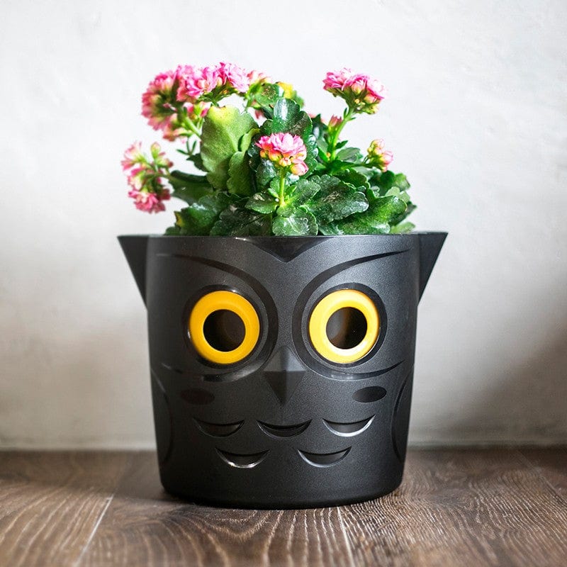 dt-brown HARDWARE Owl WaterMe Pot