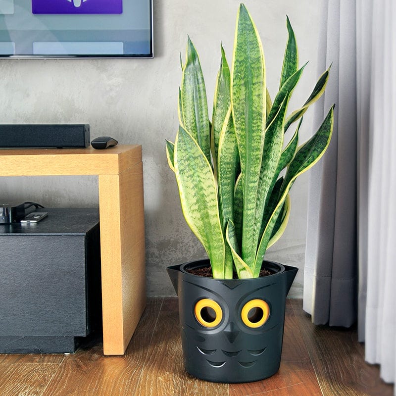 dt-brown HARDWARE Owl WaterMe Pot