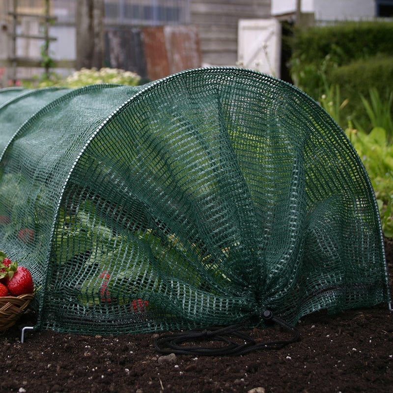 dt-brown HARDWARE Easy Net Tunnel