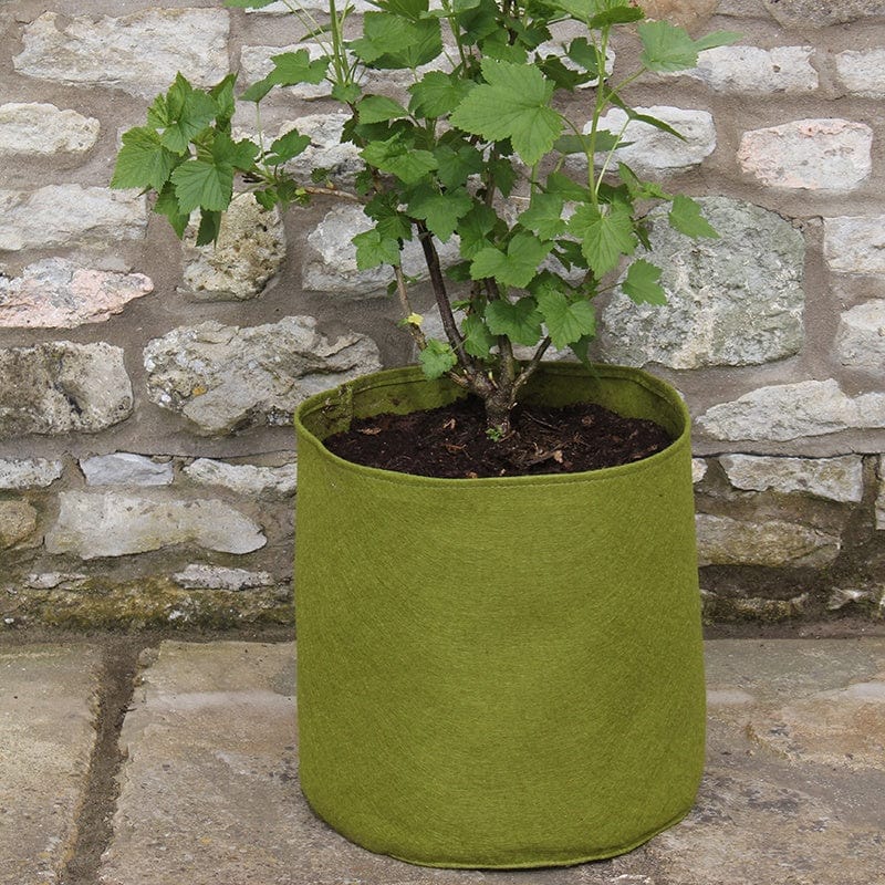 dt-brown HARDWARE Vigoroot™ Pots 20ltr