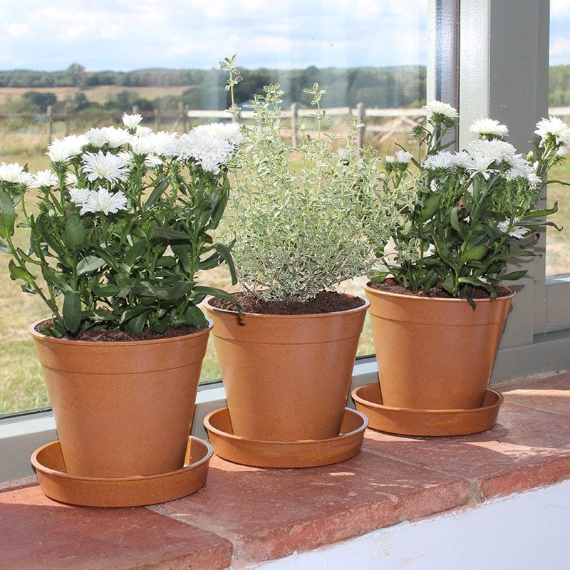 dt-brown HARDWARE Bamboo Pots and Saucers