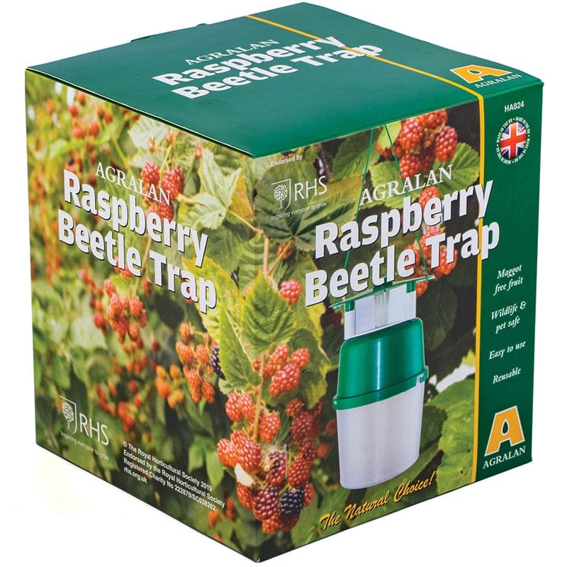 dt-brown HARDWARE Raspberry Beetle Trap & Refill Pack