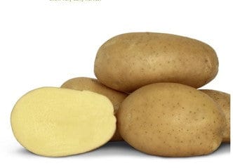 dt-brown SEED POTATOES Potato Francis 1kg