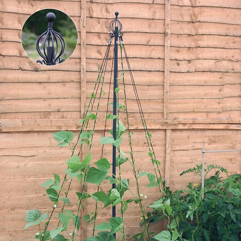 dt-brown HARDWARE Pea & Bean Wigwam