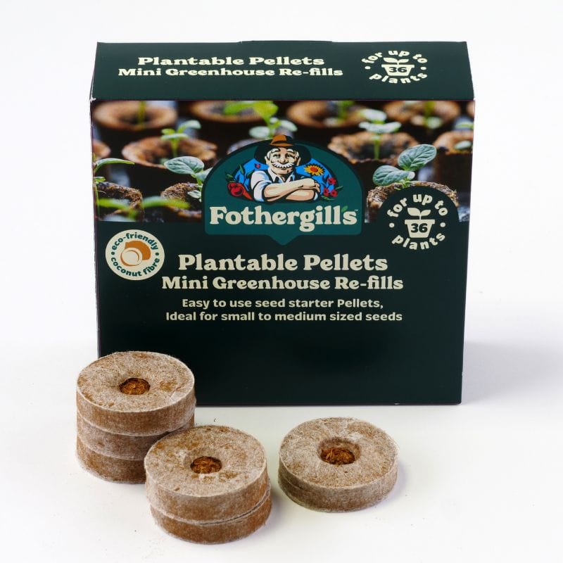 dt-brown HARDWARE Plantable Pellets Refill Pack 36 x 35mm