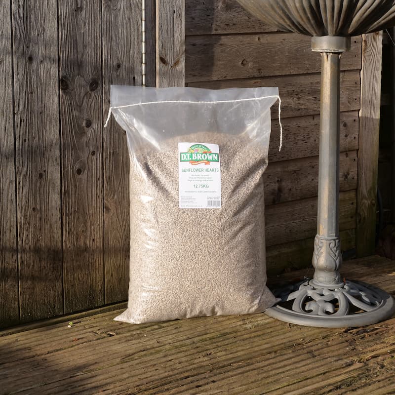 dt-brown HARDWARE Bird Food Sunflower Hearts