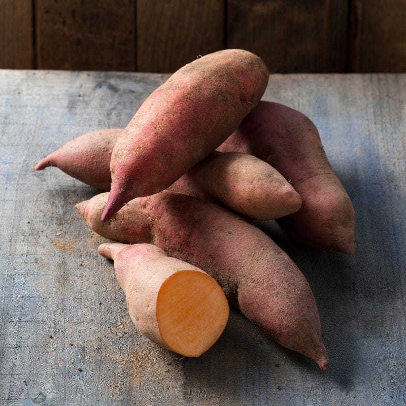 dt-brown 5 Young Plants Sweet Potato Erato Vineland Early Orange