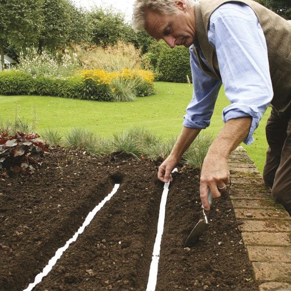 dt-brown VEGETABLE SEEDS Parsnip Hollow Crown Seed Tape