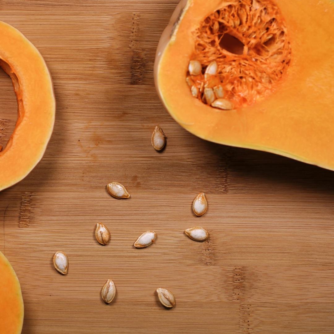 Squash Seeds