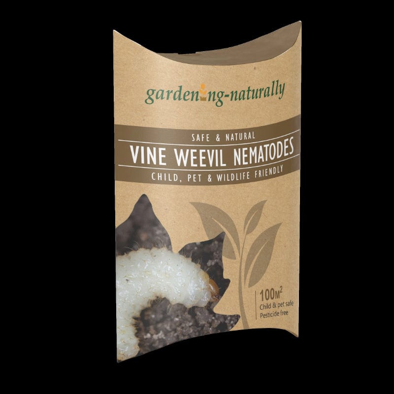 dt-brown HARDWARE Vine Weevil Control Nematodes 100sq.m