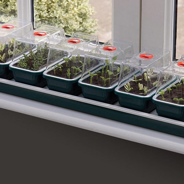 dt-brown HARDWARE Windowsill Seed Propagator - Super 7 Electric